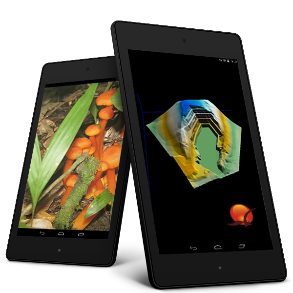 imagem projetos ambientais